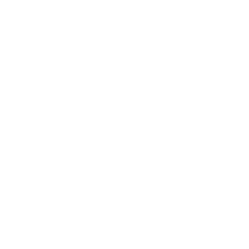 lenguage-image